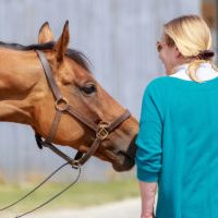 Haras de Vieux Pont, 04/05/02022, photo: Zuzanna Lupa